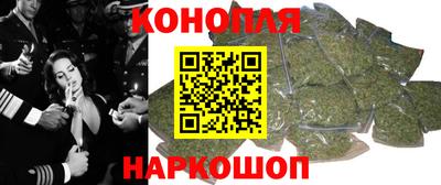 гидра Брянск