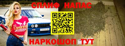 гидра Брянск