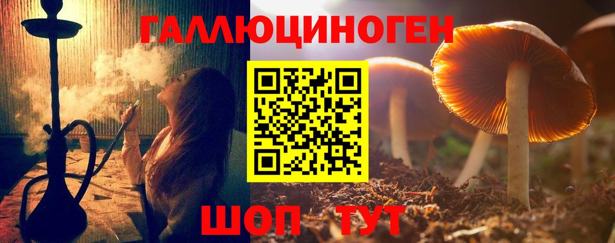 Ачхой-Мартан  Галлюциногенные грибы Cubensis  Псилоцибиновые грибы ЛСД  Вход с VPN 